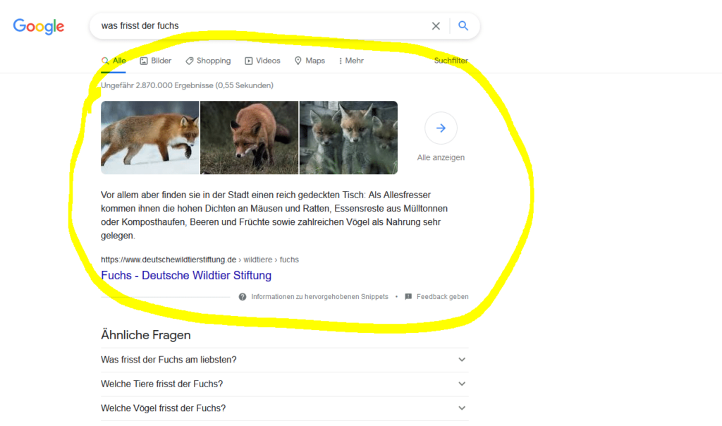 Google-Suche Knowledge Graph