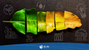 Blatt mit Green Label Kategorisierung zur Ökobilanzierung von Websites