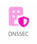 DNSSEC Symbol